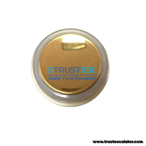 FAA25090A311 A311 Elevator Golden Button